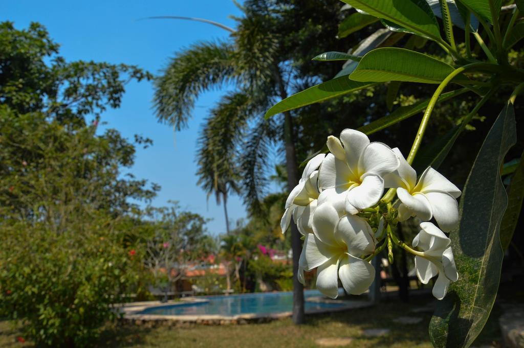 Le Flamboyant Resort Kep Exteriör bild